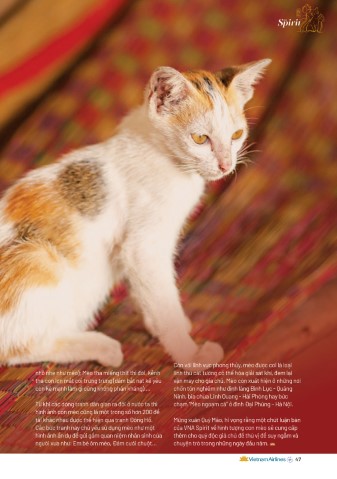 [Tết 2023] Con mèo trong văn hóa Việt