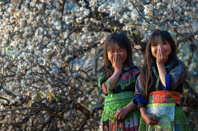 Nậm Nghiệp mùa hoa sơn tra