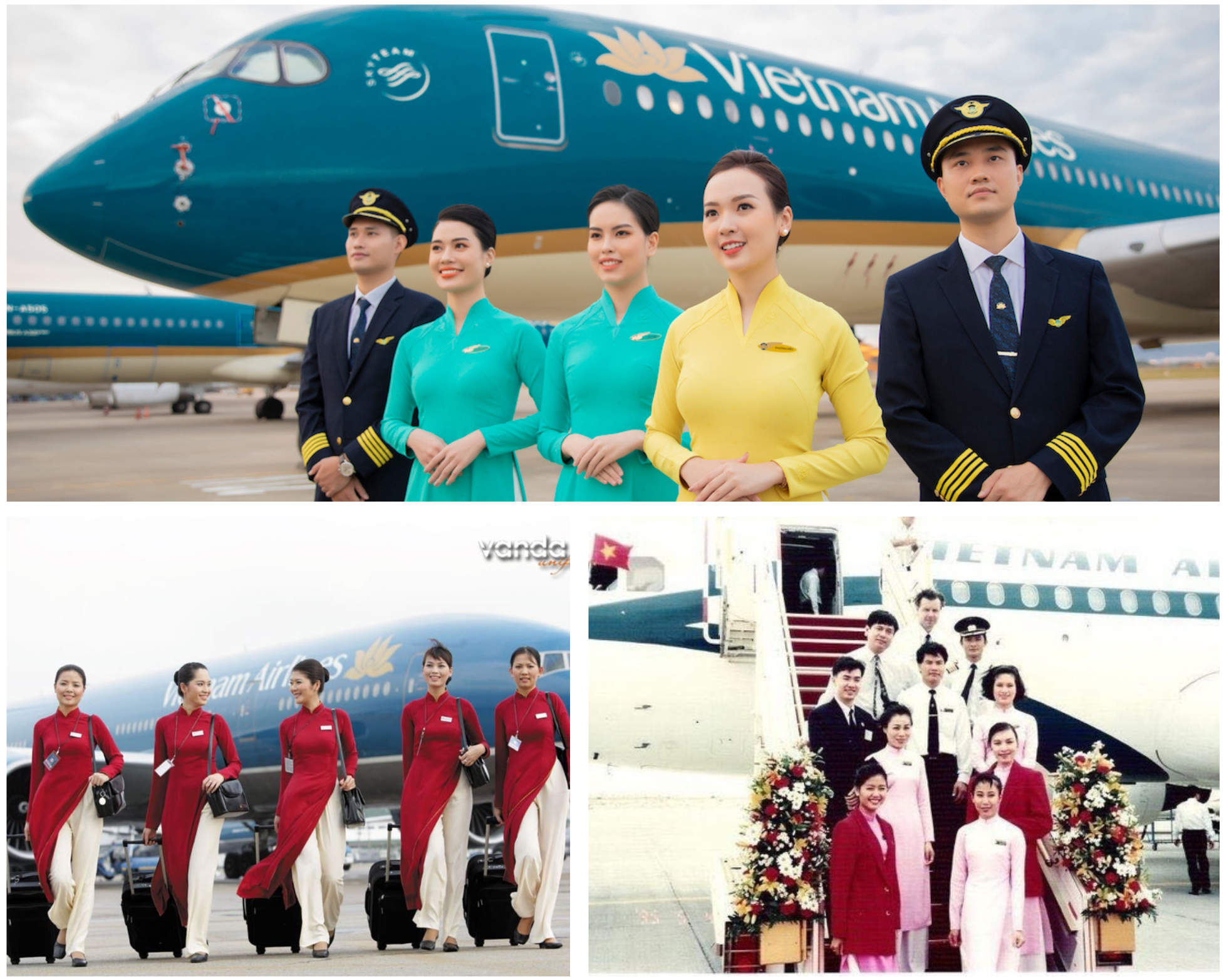 [Thơ – 30 năm] Yêu mãi đóa Sen Vàng