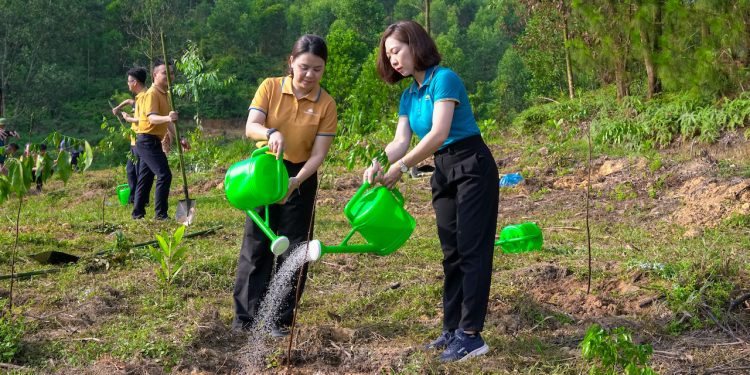 Vietnam Airlines đồng hành cùng Lễ phát động Quốc gia Tuần lễ Biển và Hải đảo Việt Nam