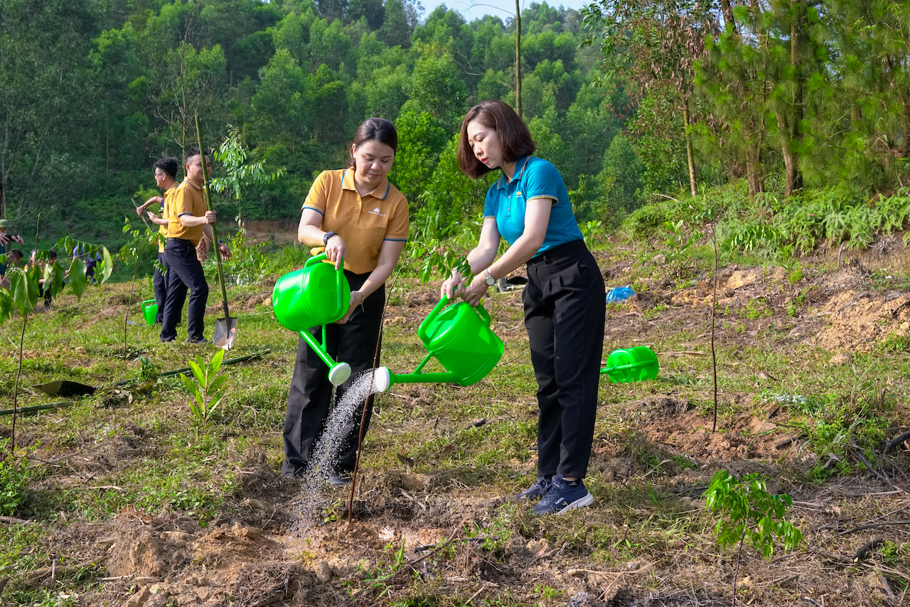 Vietnam Airlines đồng hành cùng Lễ phát động Quốc gia Tuần lễ Biển và Hải đảo Việt Nam