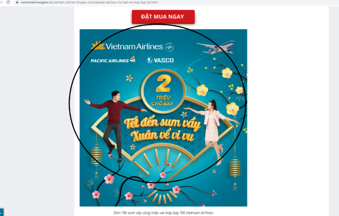Xóa sổ website “nhái” website của Vietnam Airlines