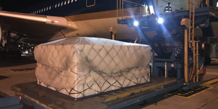 Vận chuyển vải quả đi quốc tế của Vietnam Airlines tăng mạnh