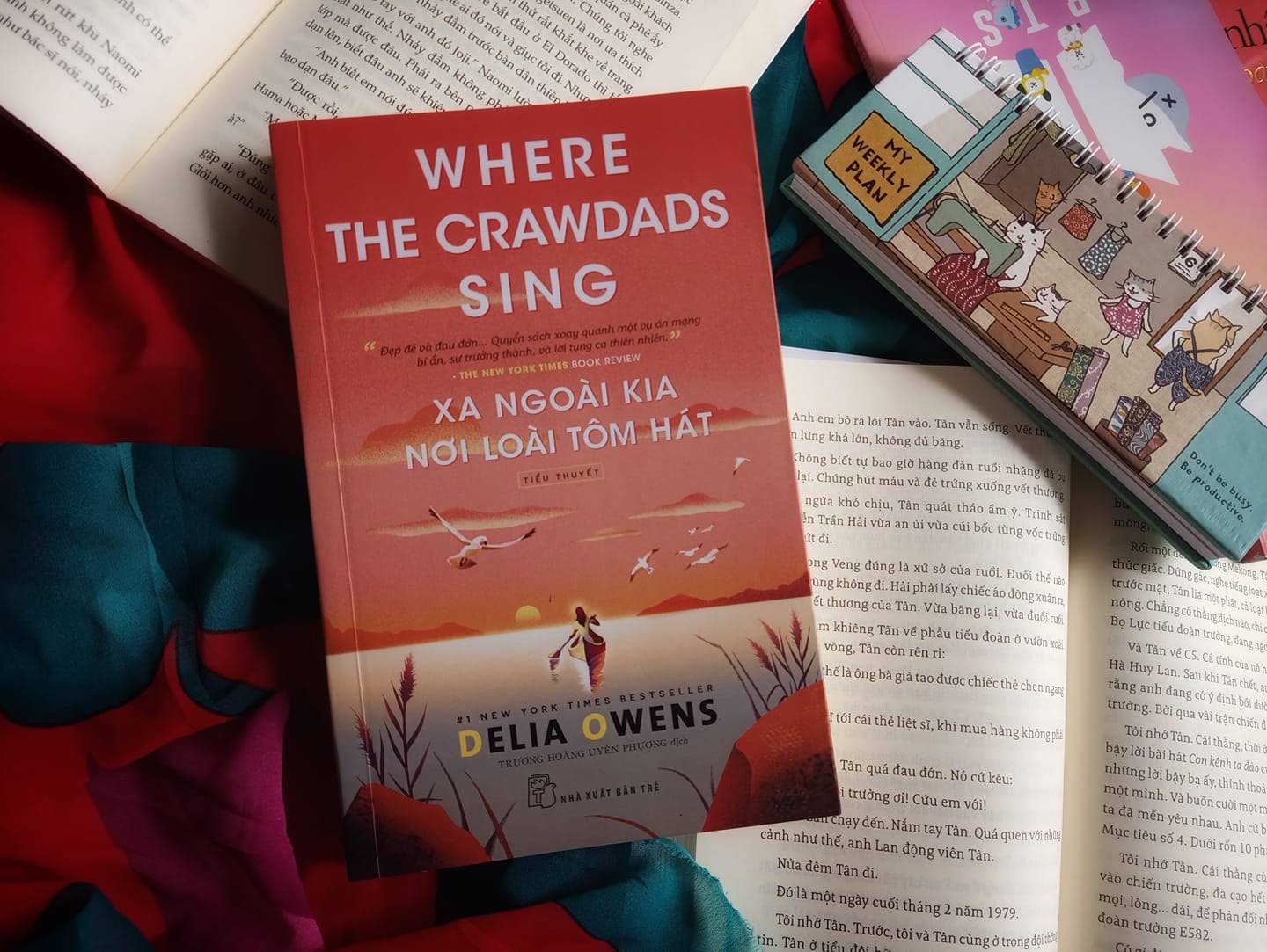 “Xa ngoài kia nơi loài tôm hát”: Vẻ đẹp của một khung cảnh thiên nhiên đầy khắc nghiệt