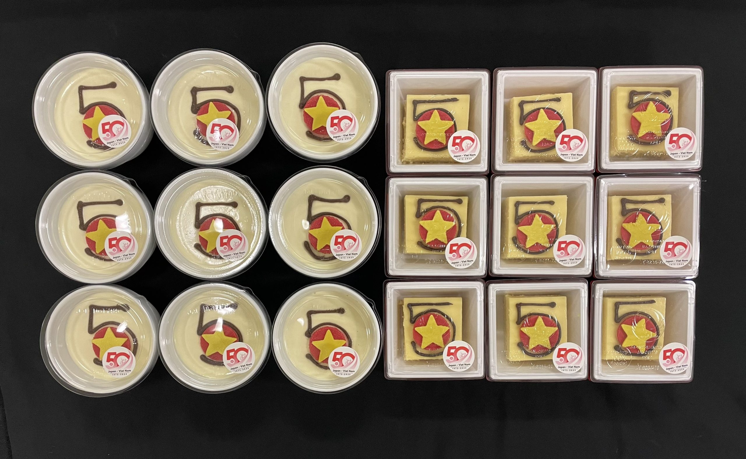 VACS vinh dự góp phần phát triển tình hữu nghị hai nước Việt Nam – Nhật Bản