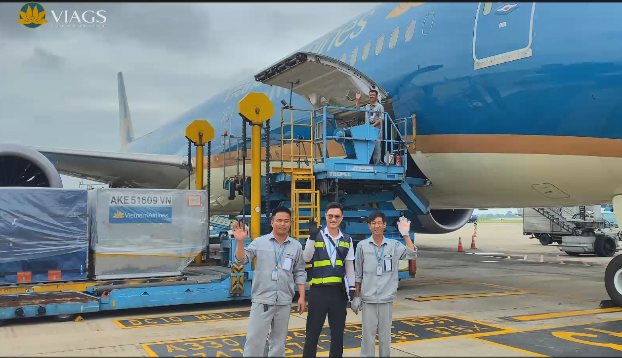 [Nụ cười dịch vụ] Nụ Cười VIAGS Nội Bài