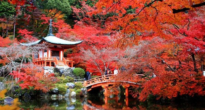 [Spirit Channel] VNA Destination: 4 thành phố nhuộm sắc vàng đỏ mùa thu Nhật Bản.