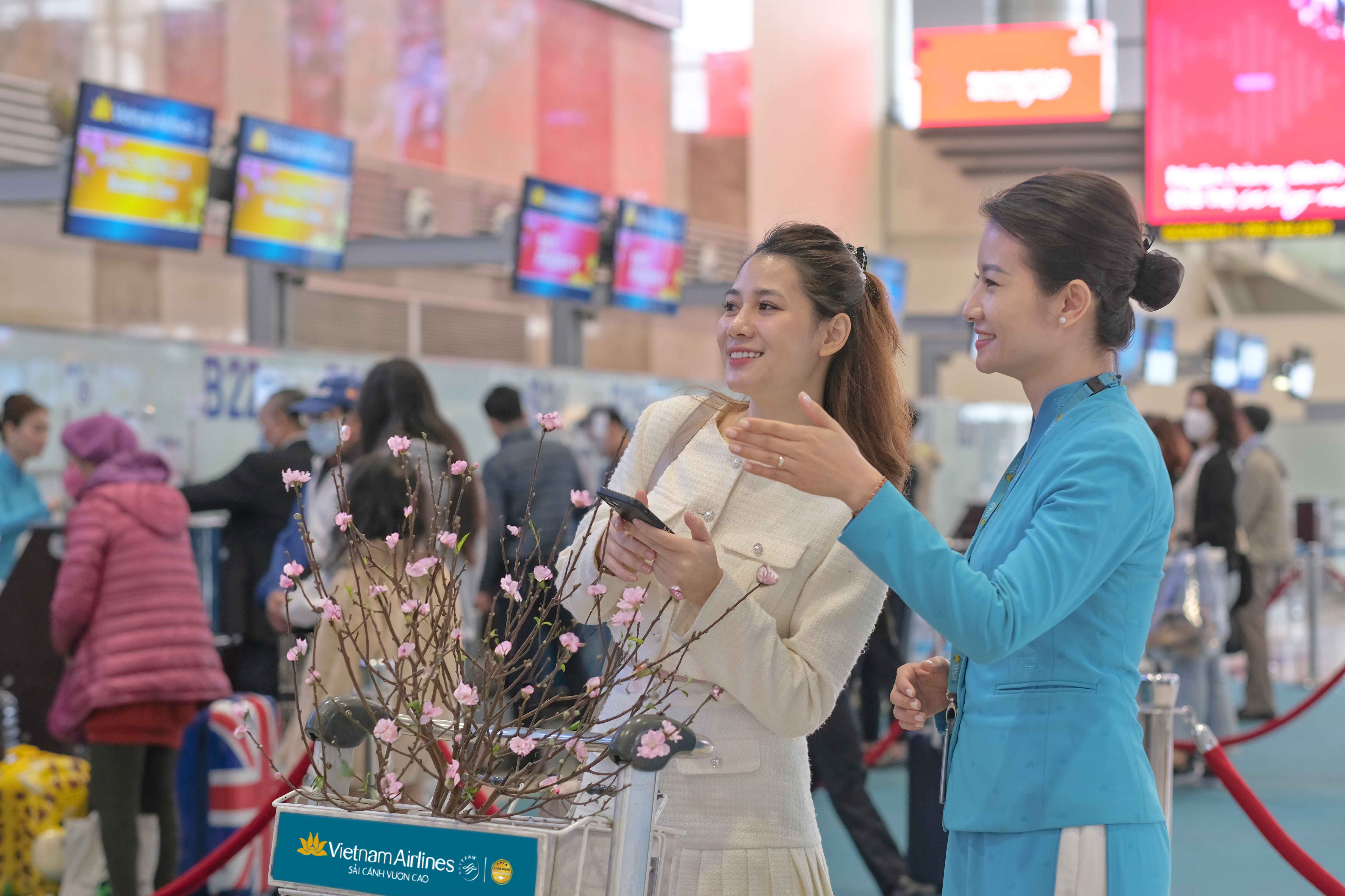 Vietnam Airlines vận chuyển cành đào, cành mai dịp Tết Giáp Thìn 2024