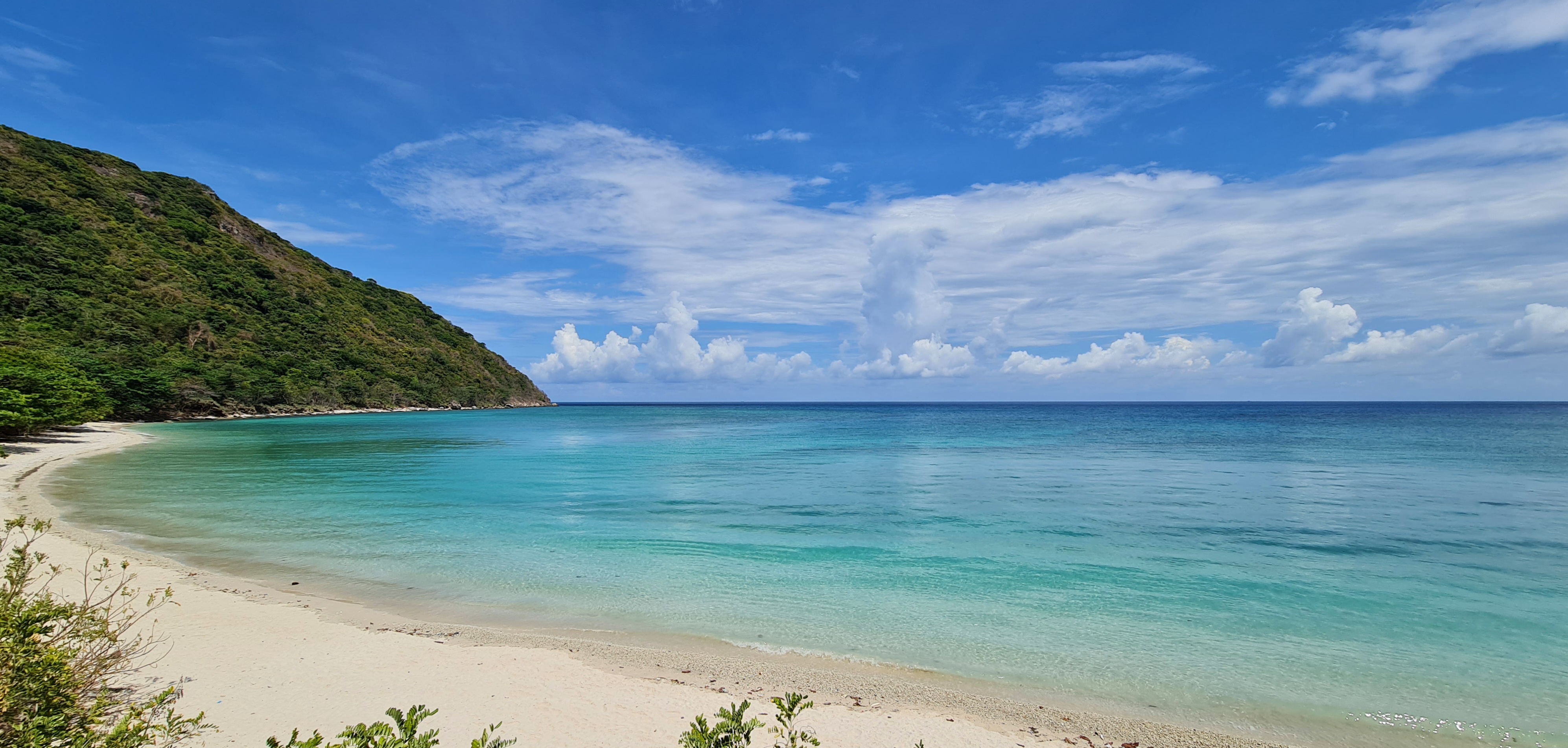 Bảo tồn rùa biển trên hòn Bảy Cạnh