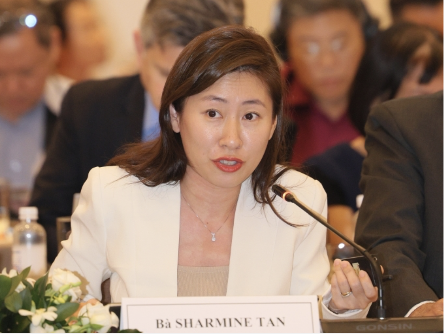 Chuyên gia Boeing: Việt Nam nhiều tiềm năng sản xuất nhiên liệu máy bay bền vững