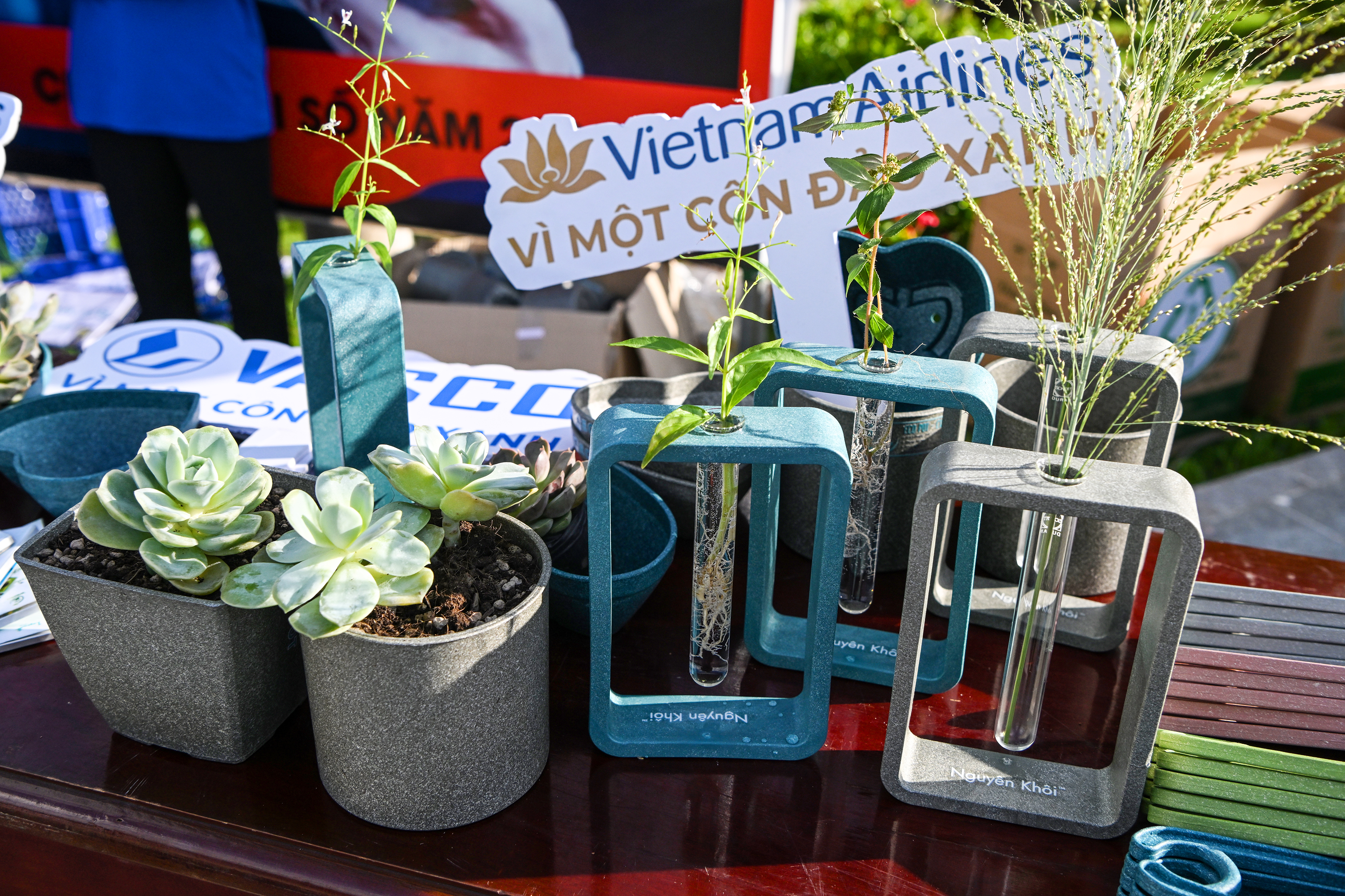 [VNA News] Vietnam Airlines tổ chức Ngày hội Côn Đảo Xanh, chung tay vì một “đảo xanh, biển sạch”