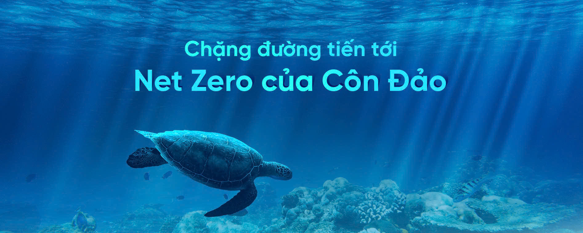Chặng đường tiến tới Net Zero của Côn Đảo