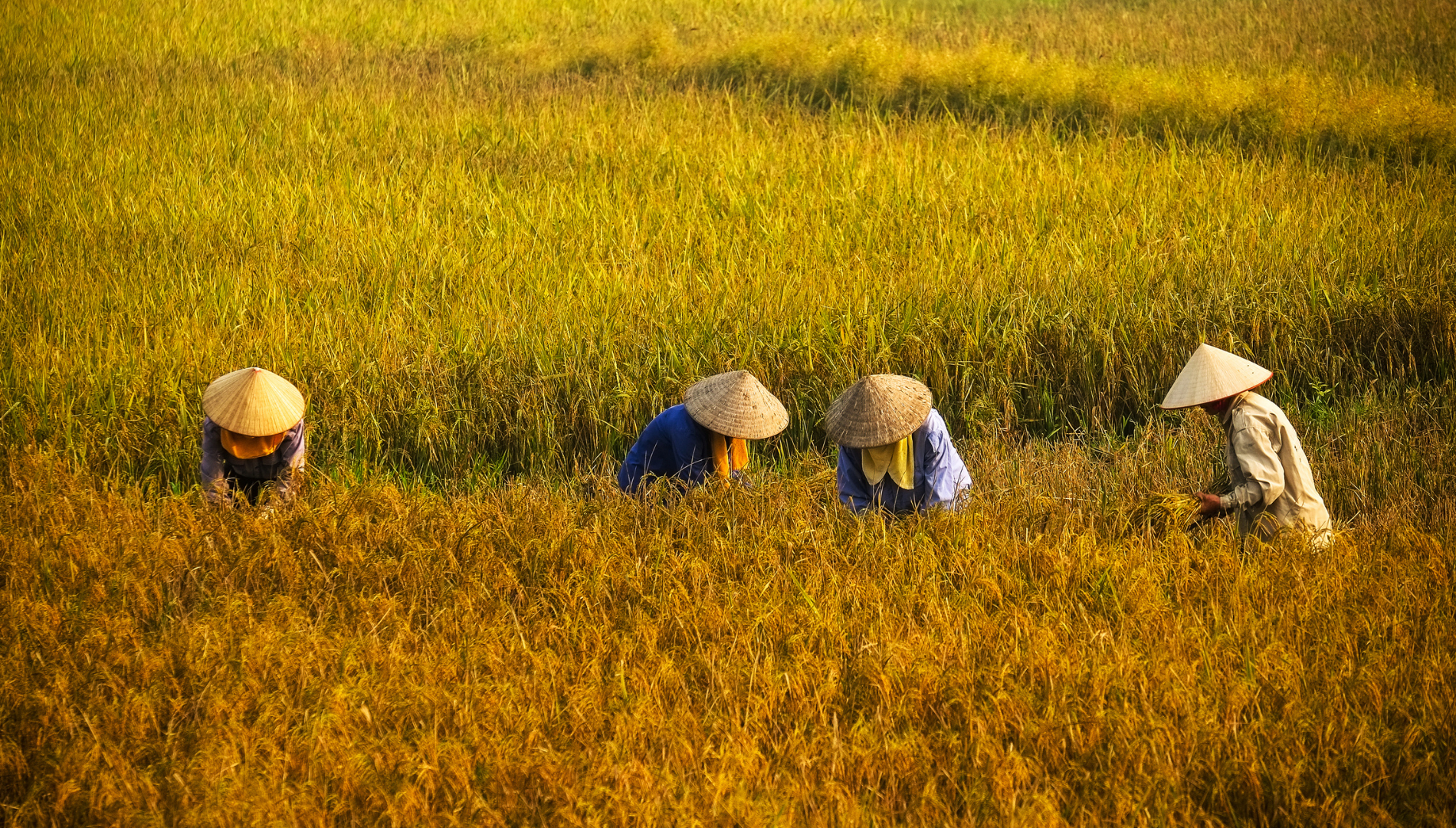 Việt Nam là điểm đến được du khách Đức yêu thích