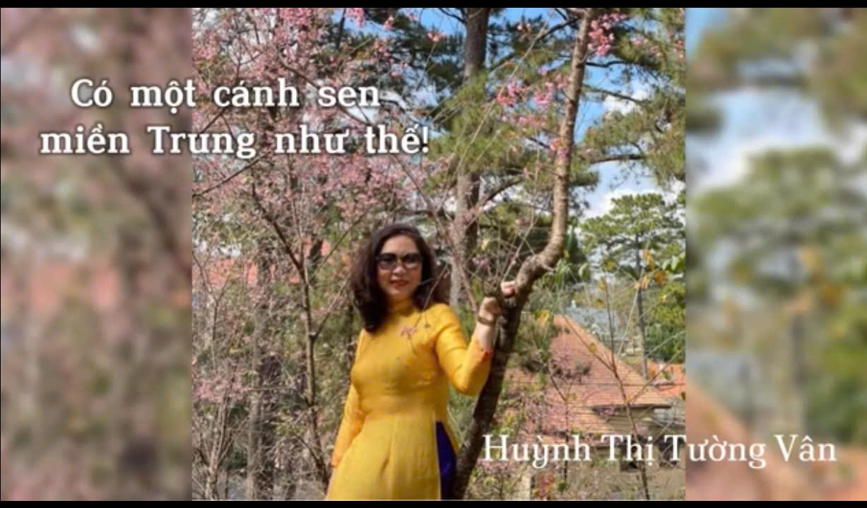 [Cánh Sen Truyền Lửa] Có một cánh sen miền Trung như thế