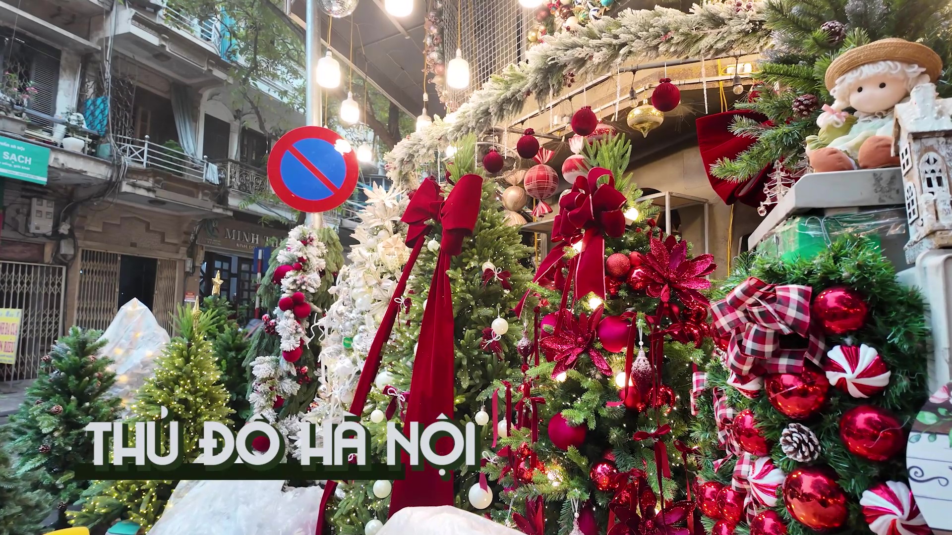 [VNA Where] Cùng Vietnam Airlines đón Giáng sinh ở 3 miền đất nước (Phần 1)