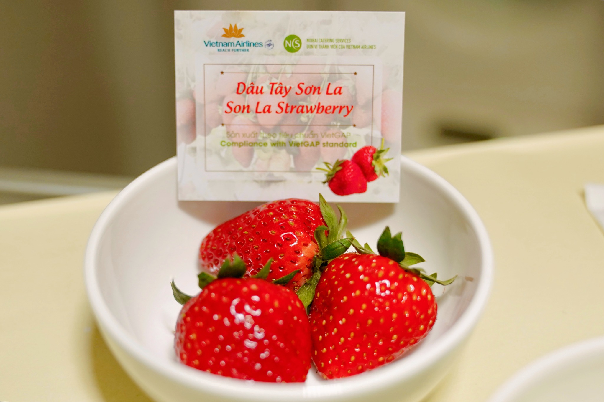 [VNA How] Dâu tây Sơn La – Hành trình từ trang trại đến suất ăn trên không