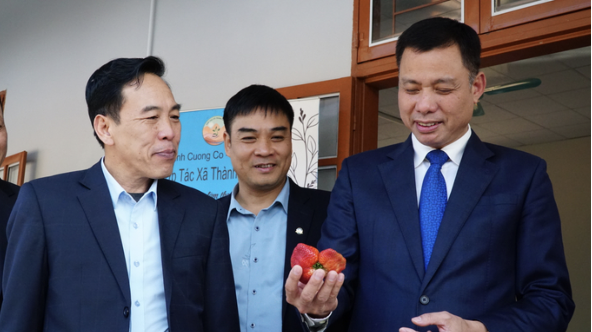 Dâu tây Sơn La ‘cất cánh’ cùng Vietnam Airlines