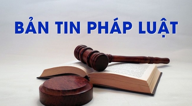 Bản tin pháp luật tháng 3/2025 (Phần 2)