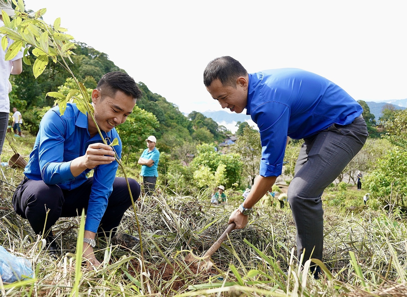 Tiếp nối hành trình tái sinh rừng: “Vì một Việt Nam xanh và phát triển bền vững”