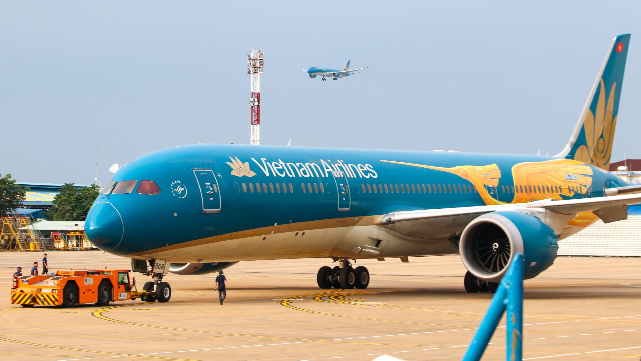 Livery hình chim Lạc của Vietnam Airlines: Không chỉ đơn giản là diện mạo đặc biệt