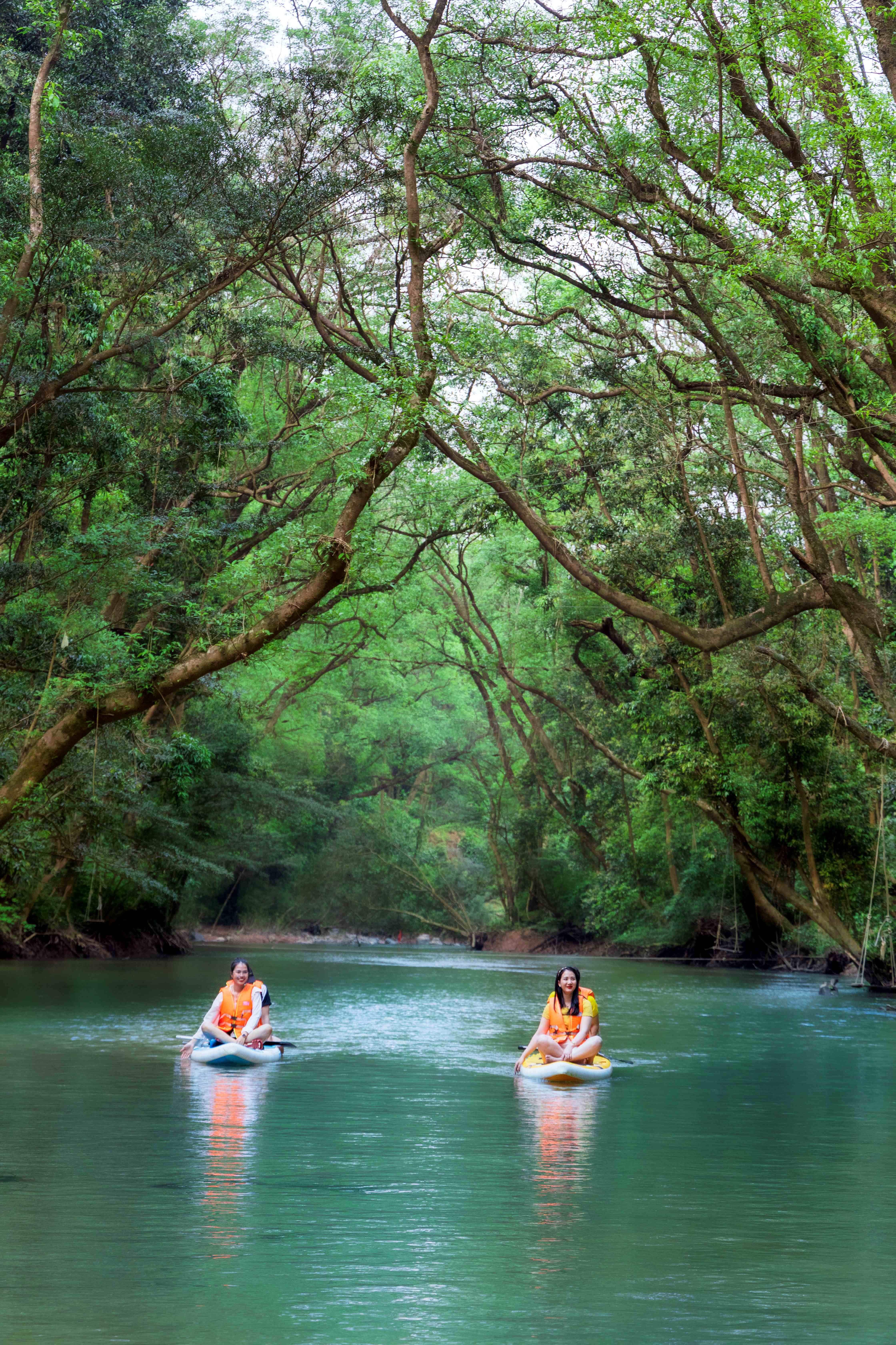 Nơi rừng xanh gọi mời