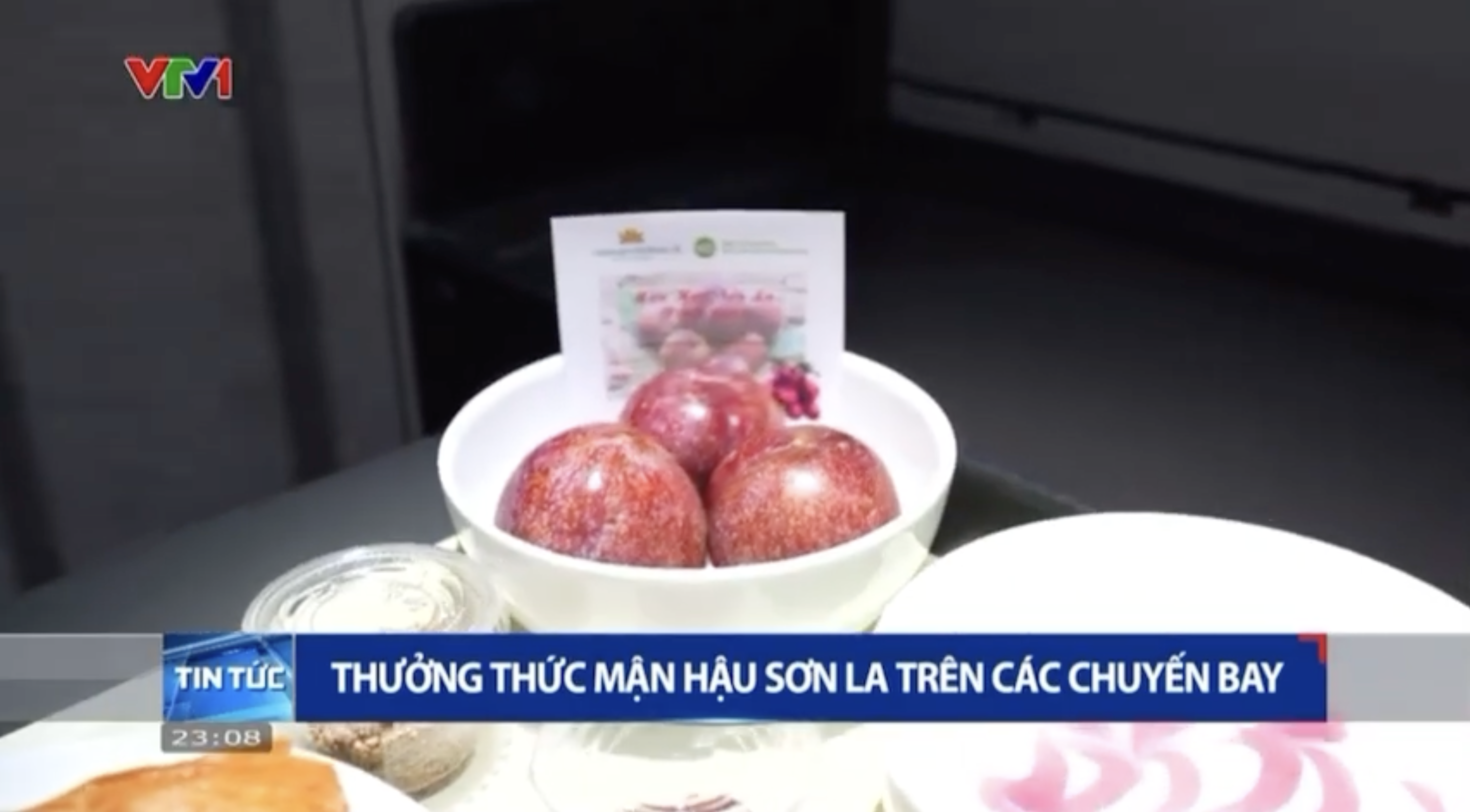 [VTV] Thưởng thức mận hậu Sơn La trên các chuyến bay