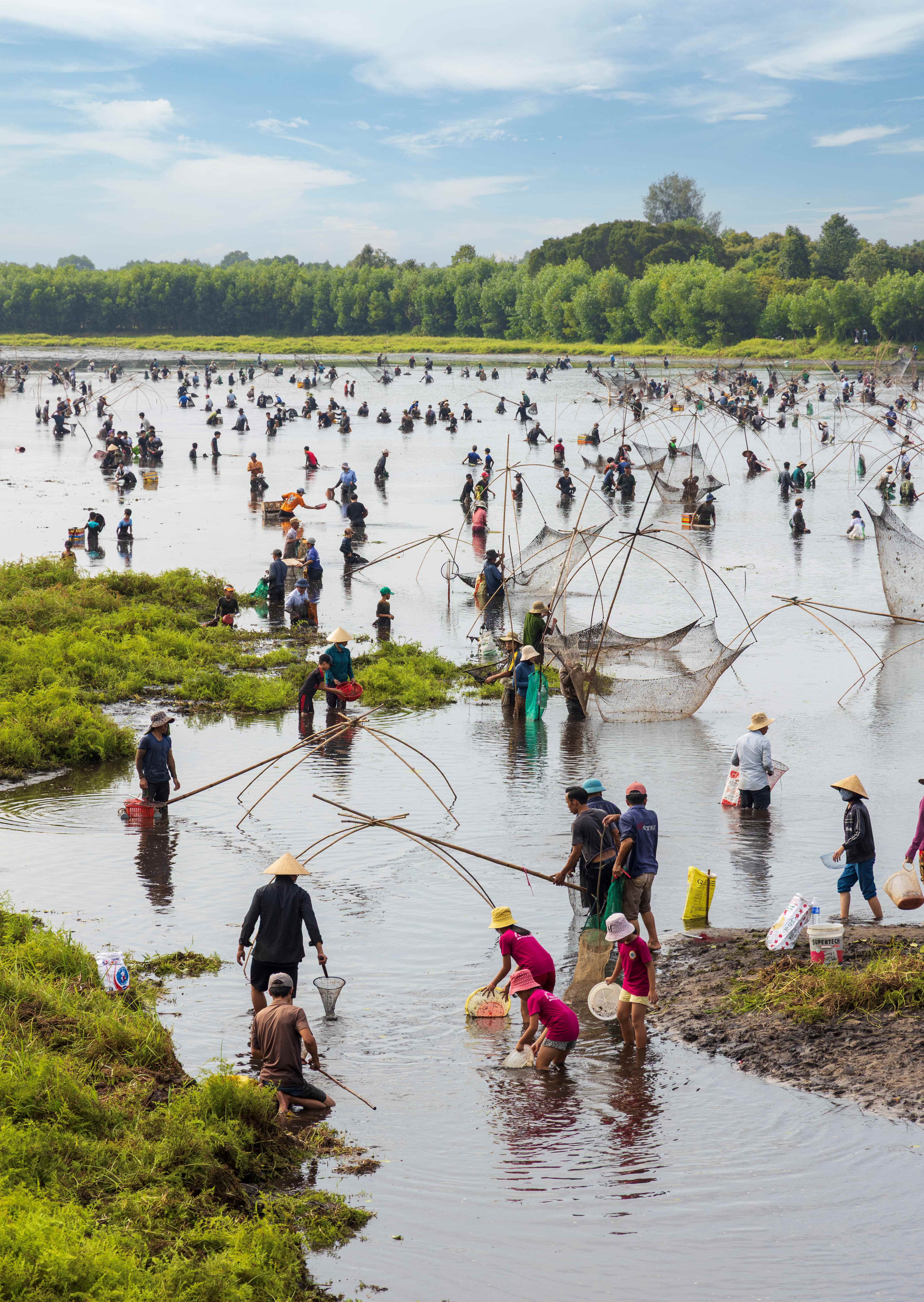 Về Trà Lộc phá trằm