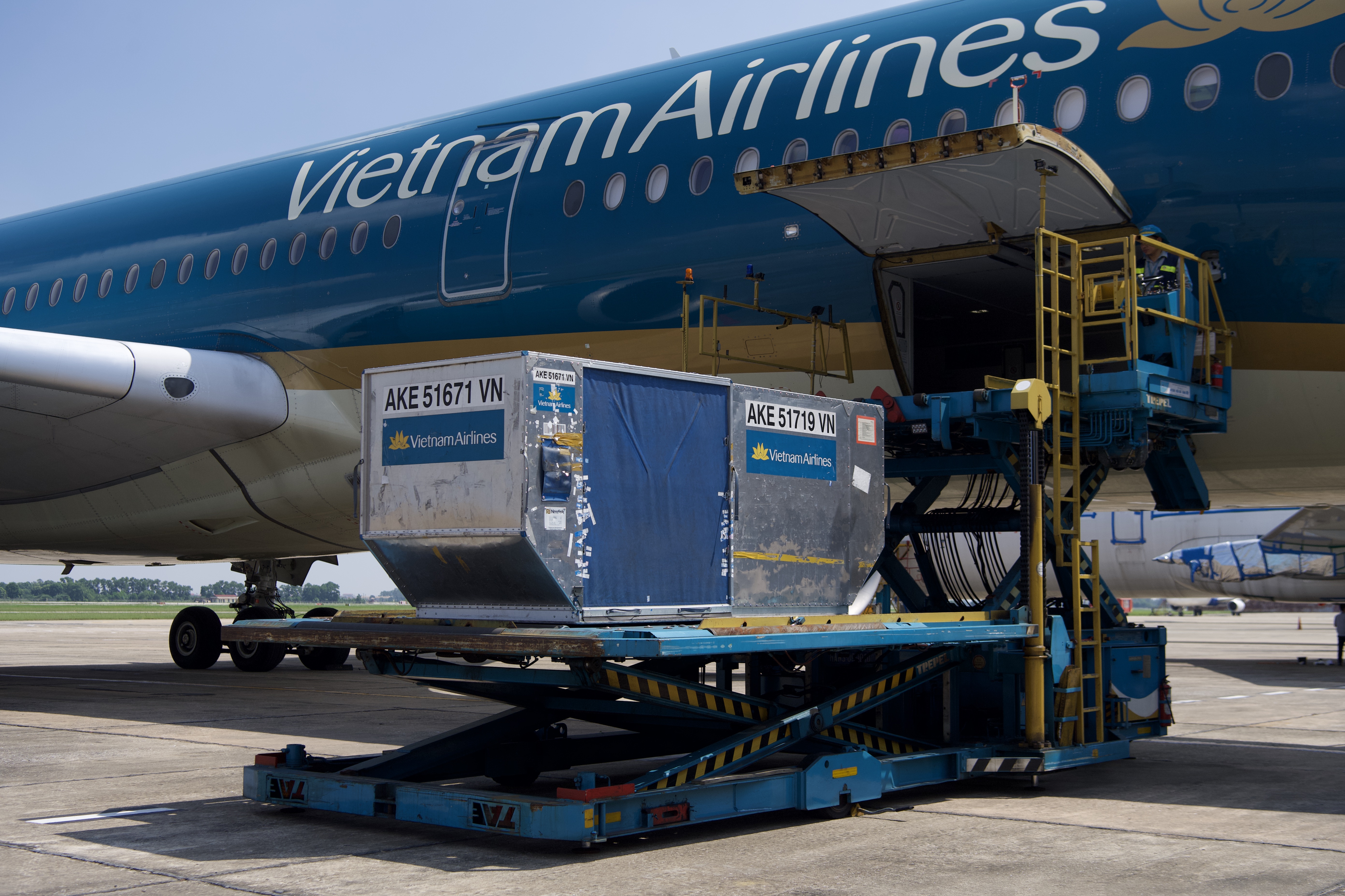 Lập hãng hàng không chuyên chở hàng hóa – chiến lược mới của Vietnam Airlines trong hội nhập quốc tế
