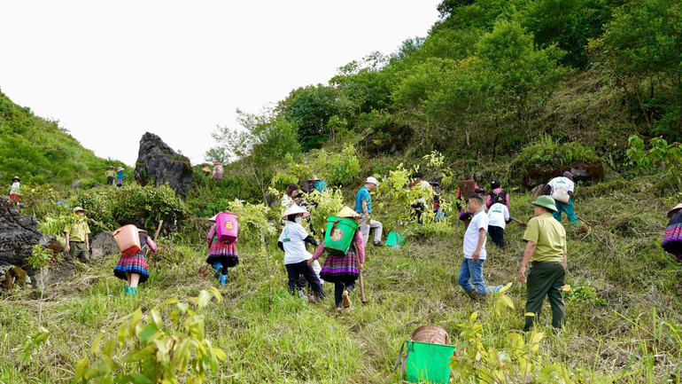 Tiếp tục hành trình “Góp lá vá rừng – Vì một Việt Nam xanh và phát triển bền vững”