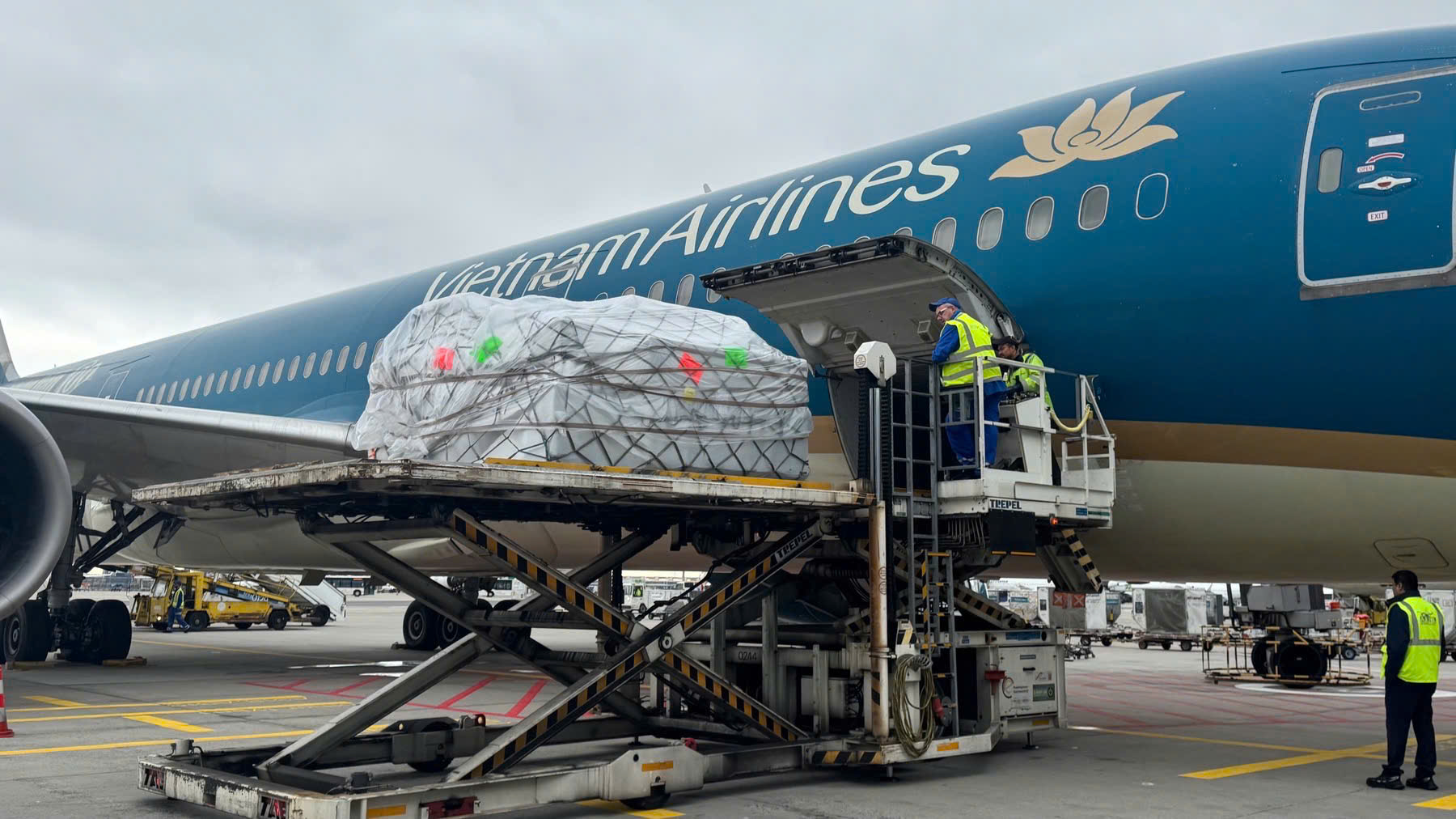 [VNA Why] 6 tấn nhạc cụ của Dàn nhạc Giao hưởng London đã được đưa đến Hà Nội như thế nào?