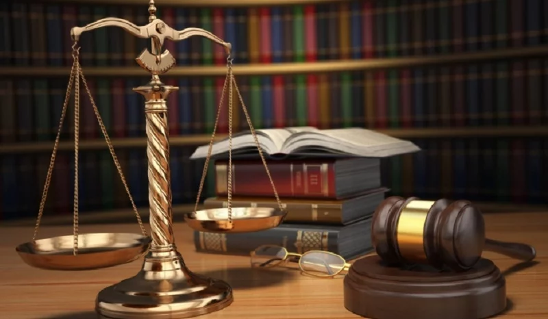 Bản tin pháp luật tháng 11/2025