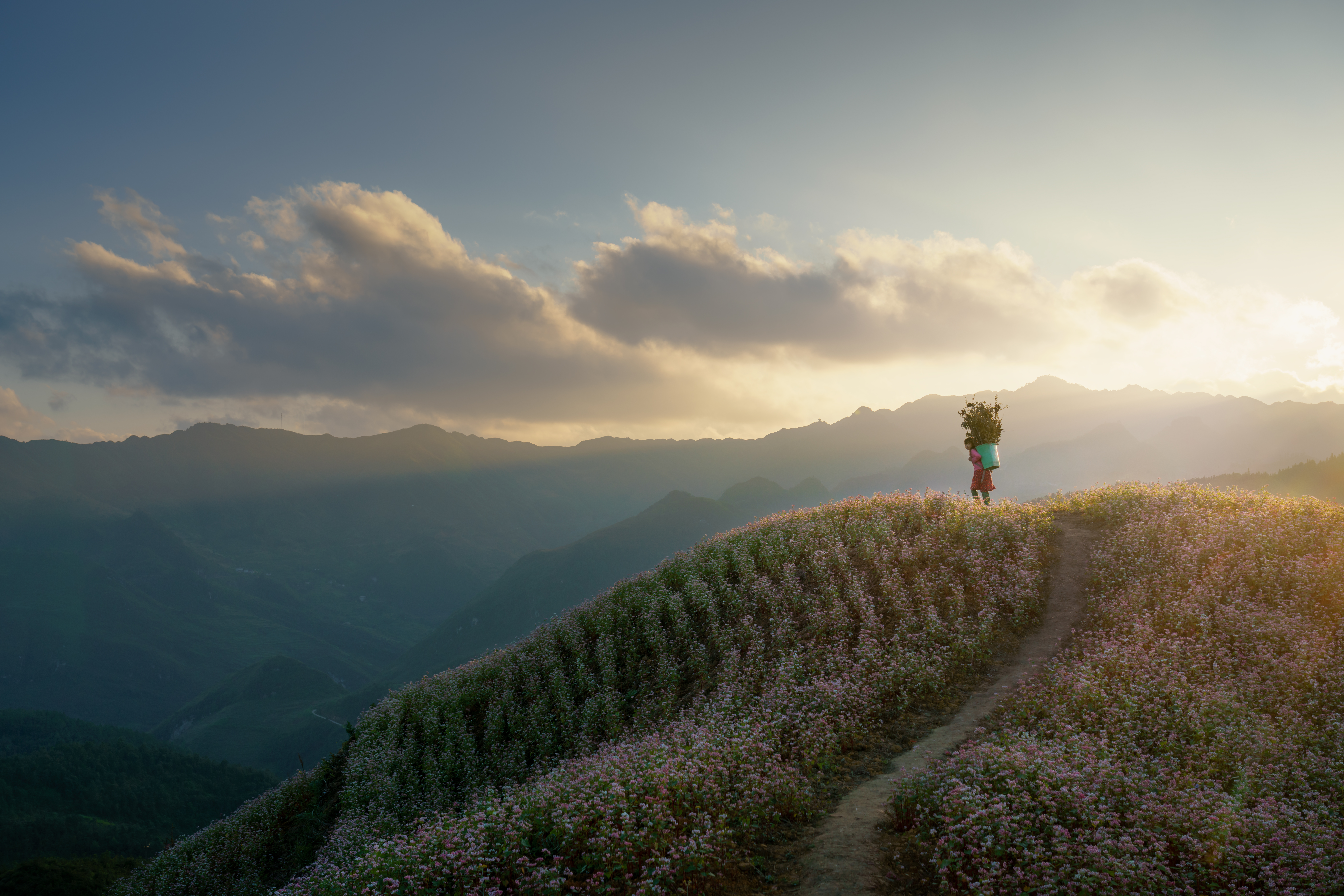 Tấm áo ngày đông của cao nguyên đá